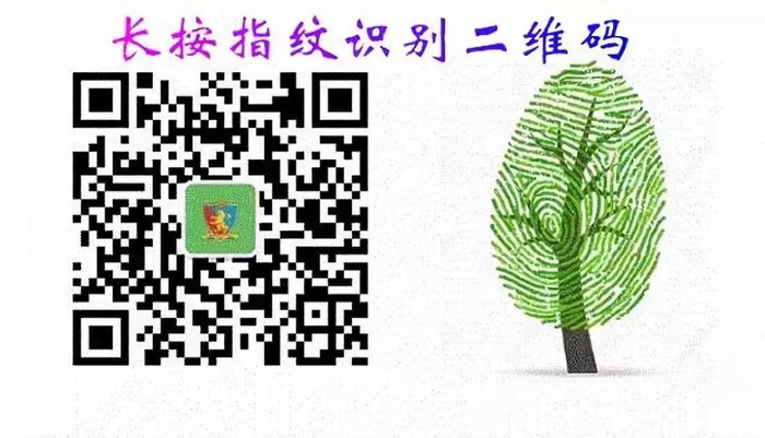 640-3.webp.jpg
